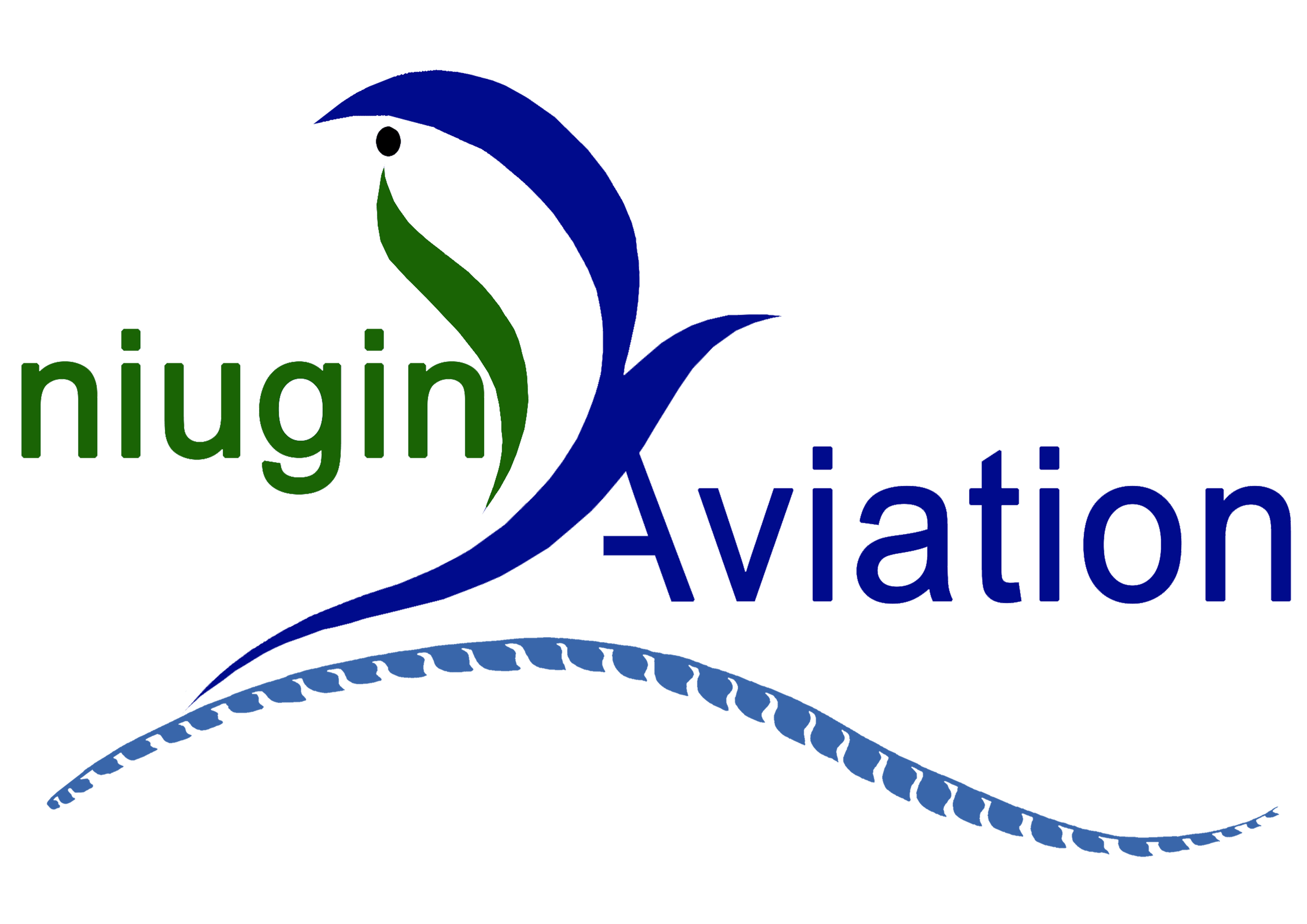 Niugini Aviation